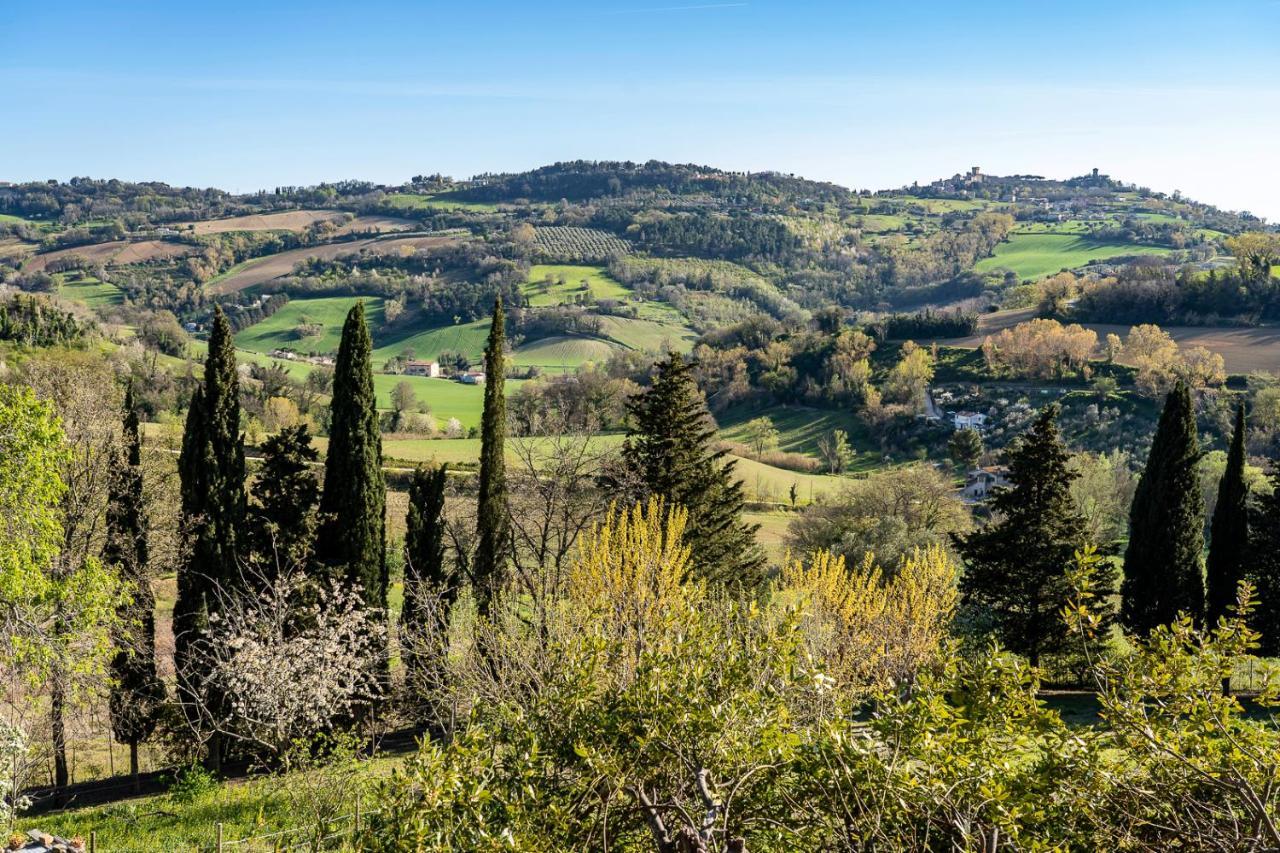 B&B Glicine Ancona Buitenkant foto